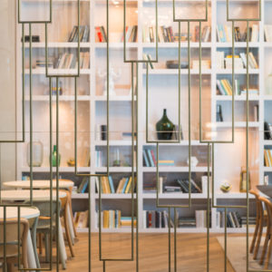 Books in the parlor/library